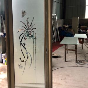Bathroom Door 2