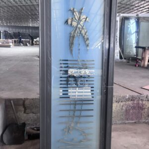 Bathroom Doors